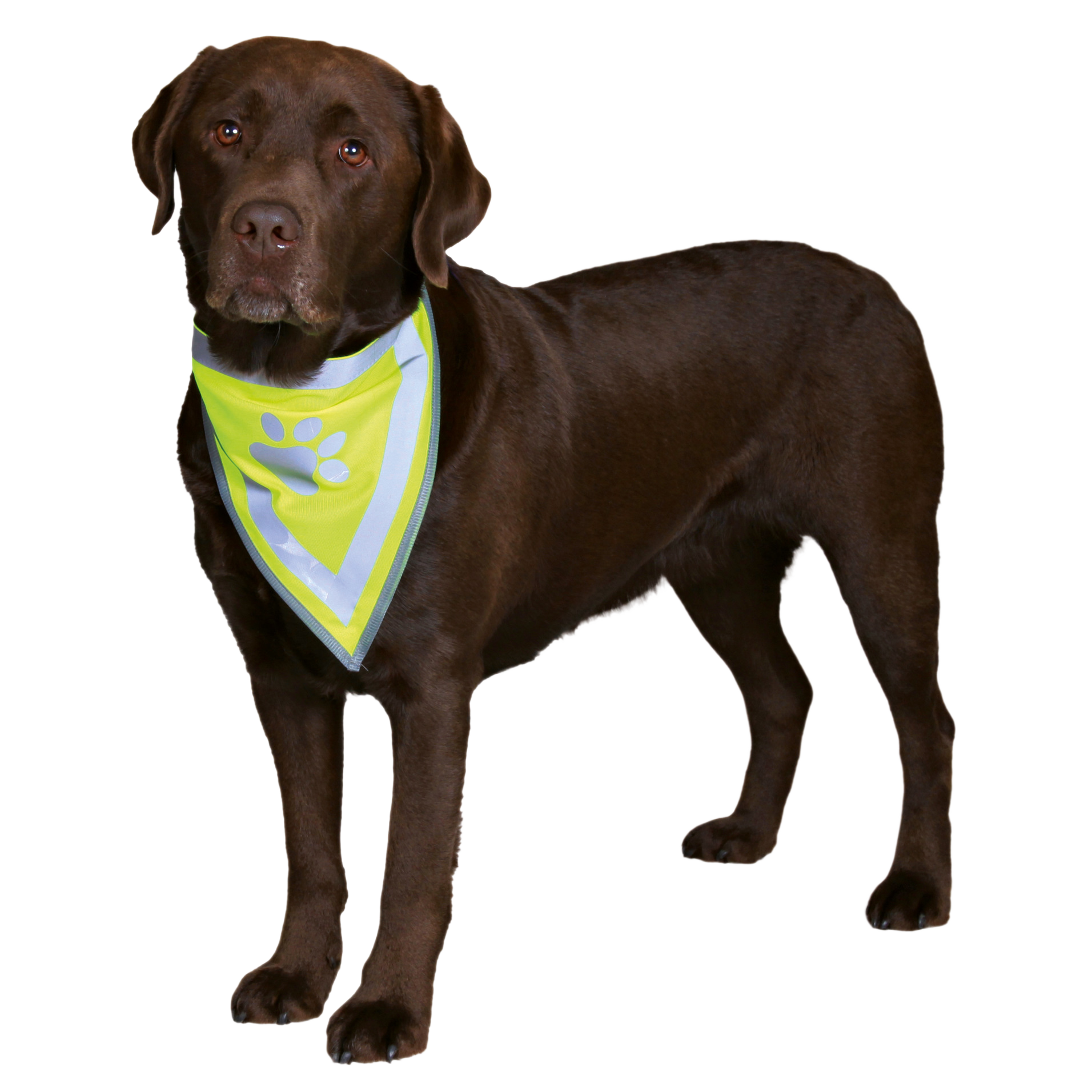 Trixie Reflective Neckerchief L–XL: 43–60cm