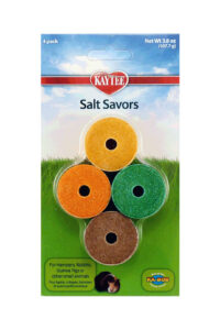 Kaytee Large Mini Salt Savours 4 pk