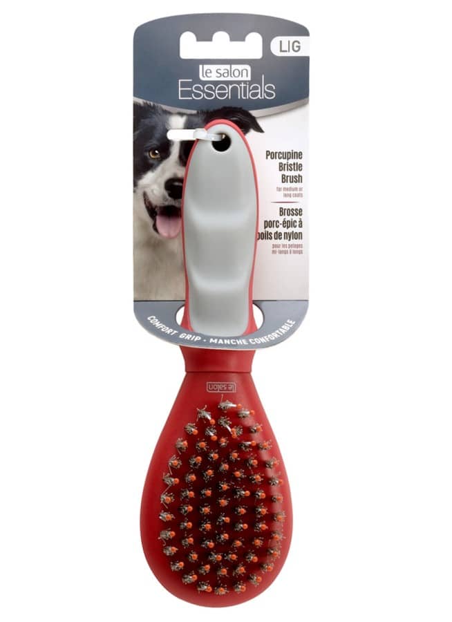 Le Salon Essentials Dog Porcuppine Bristle Brush Large