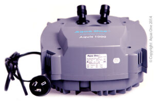 Pumphead - CF1000