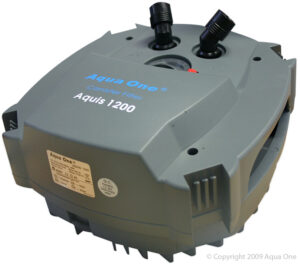 Pumphead - CF1200