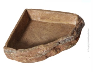 Reptile One Corner Bowl S (6.8 X 6.8 X 1.8 Cm)
