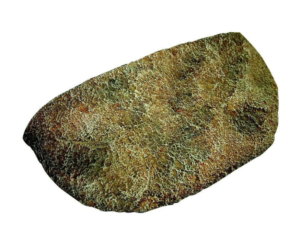 Reptile One Climbing Ledge Dyno Rock (S) 24.5x13x6cm