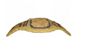 Landing For Turtle Eco 90 & 120